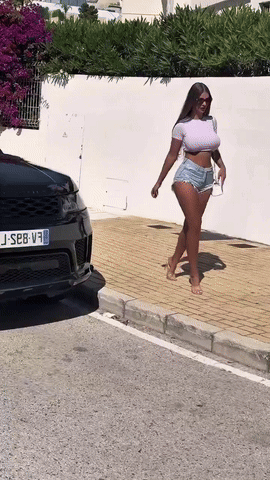 img1010.gif
