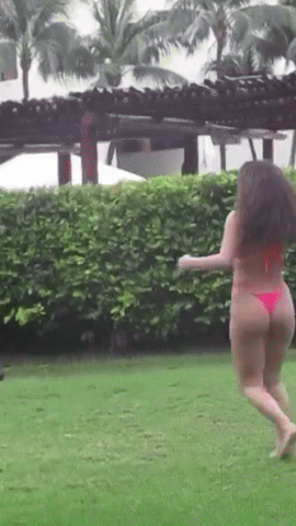 img1189.gif