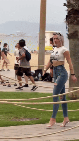 img1225.gif