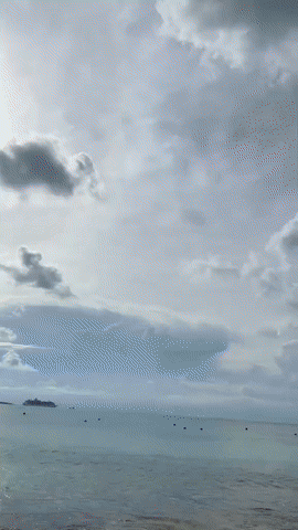 img1334.gif