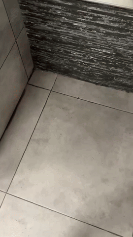 img1396.gif