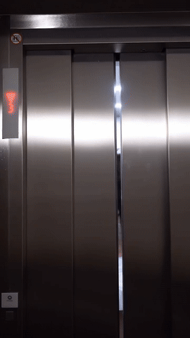 img195.gif